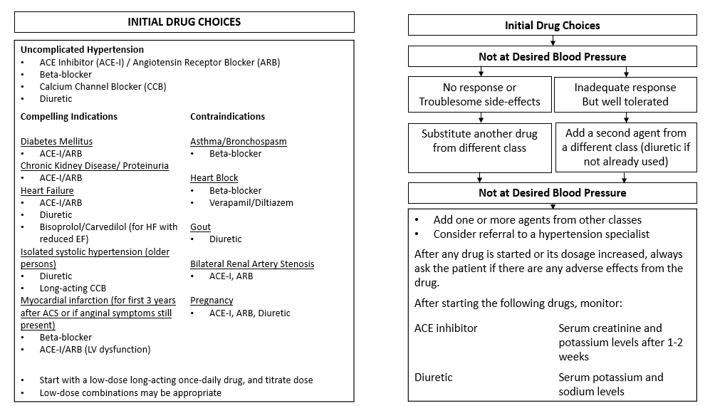 Drug Choices for Hypertension.png